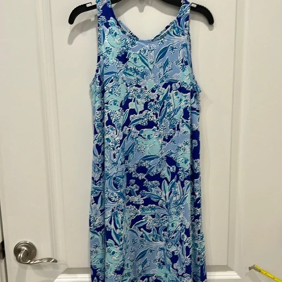 Lilly Pulitzer Kristen dress. Perfect because it was wore my my 9 year old. - Picture 1 of 3